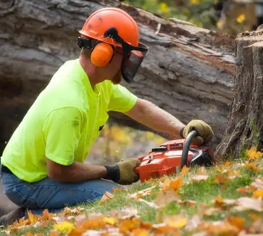 tree services Old Hundred